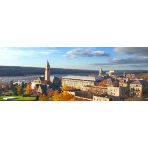 Cornell University