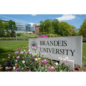 Brandeis University