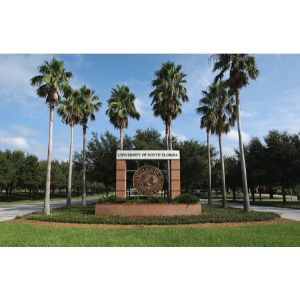 University of South Florida